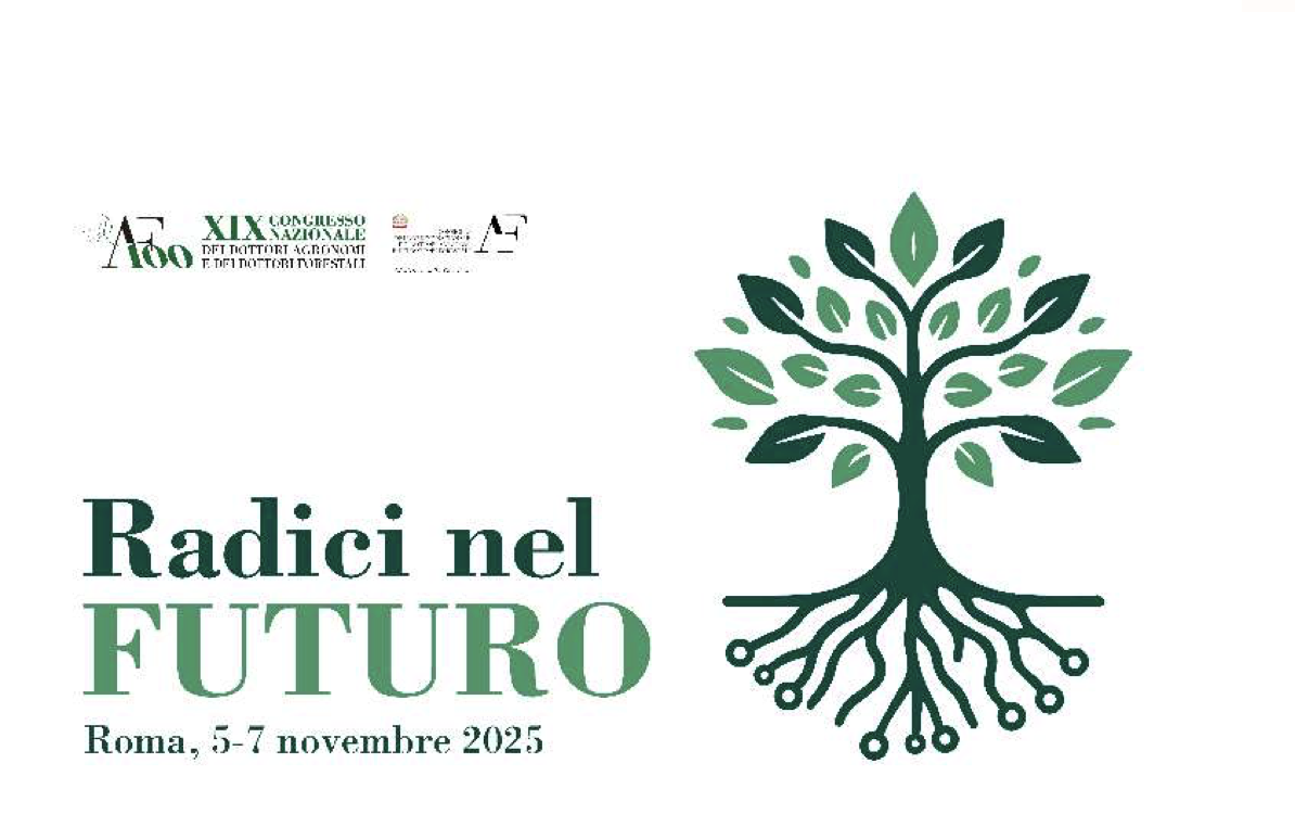Radici nel futuro. Tra tradizione e progettazione...